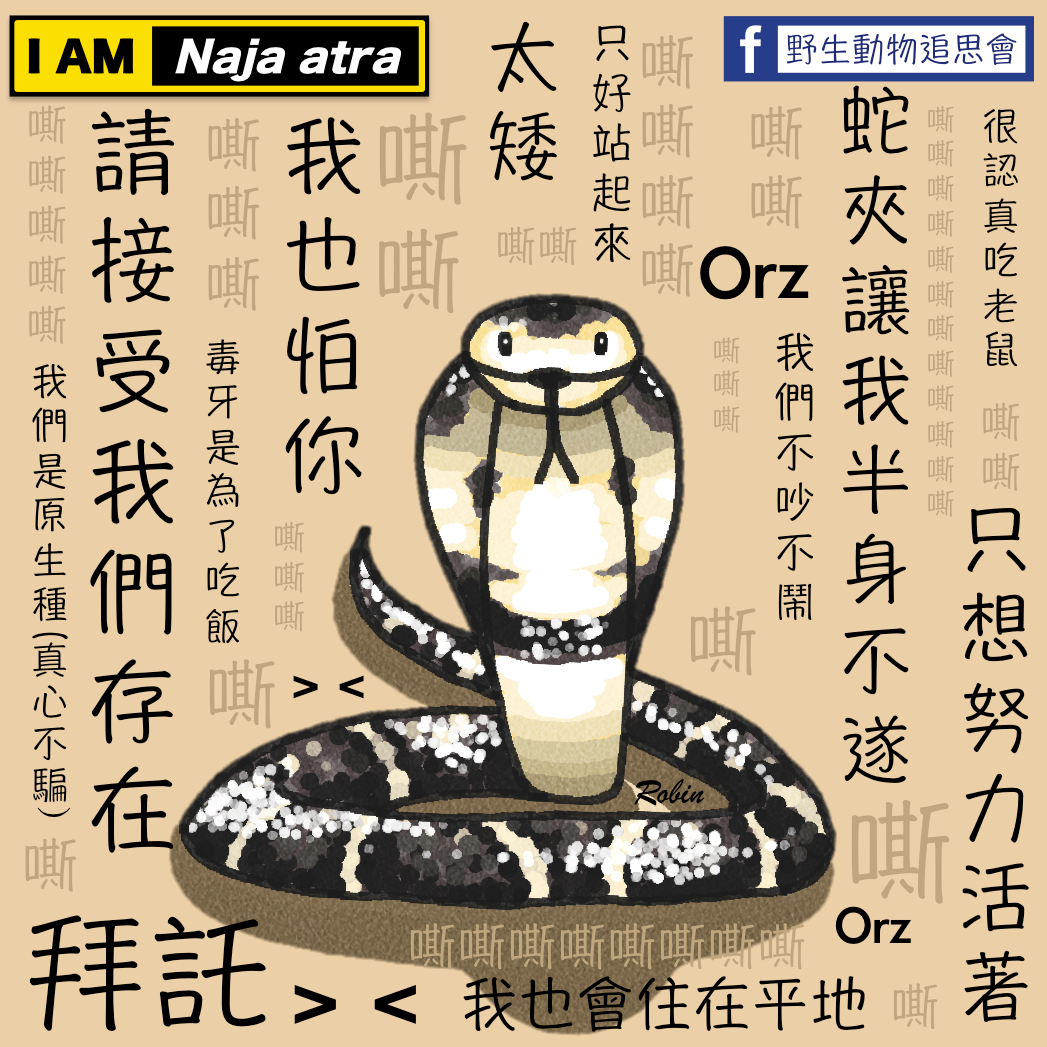 只想努力活著嘶嘶嘶嘶.png